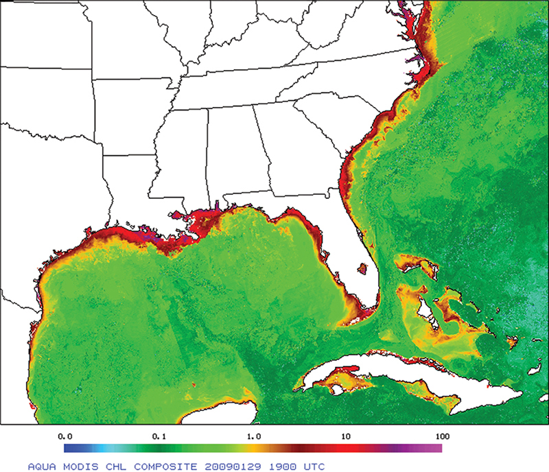 NASA satellite screenshot showing a chlorophyll map