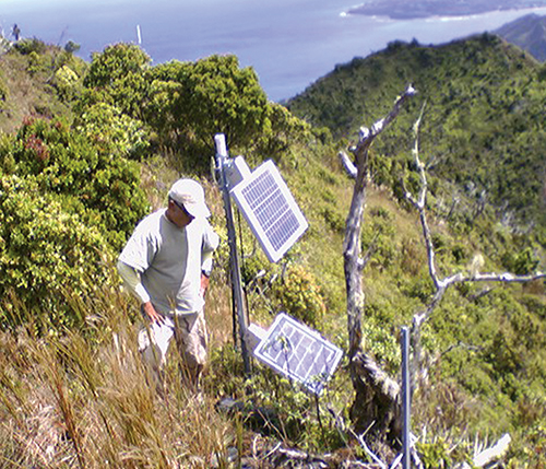 Intelesense sensor in field