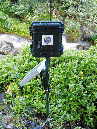 Intelesense sensor near stream