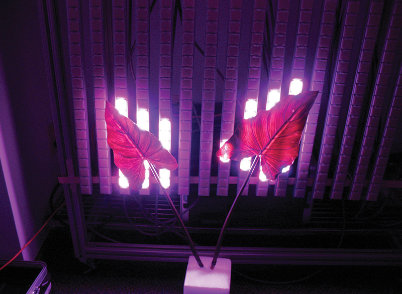 LED system for plants