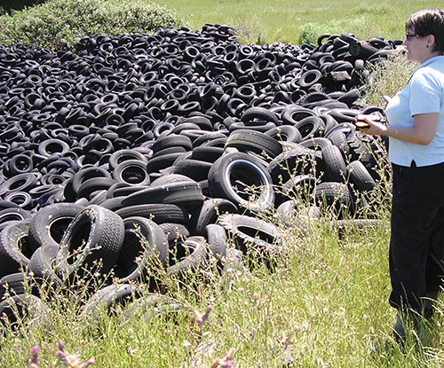 Researcher Becky Quinlan stands in front of a pile of tires