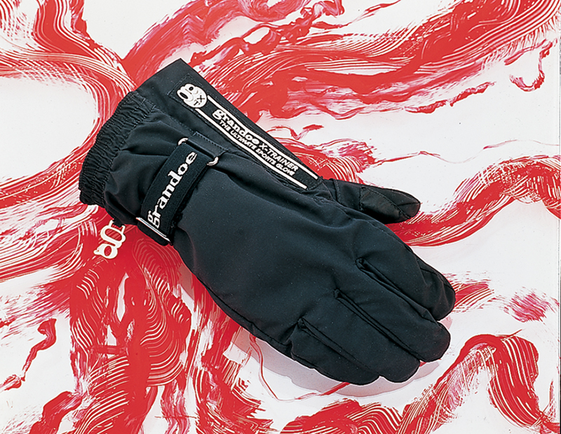 Ski gloves