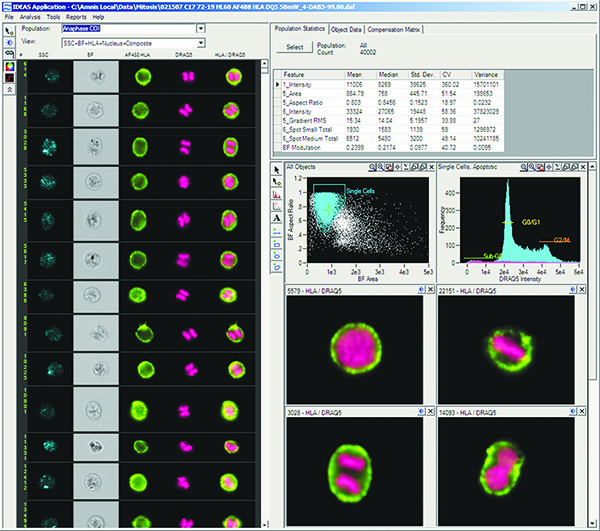 Screen shot of Amnis Corporation’s IDEAS data analysis software