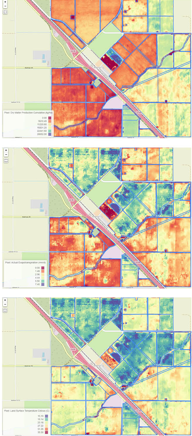 Screenshots from IrriWatch’s portal show different aspects of fields in Madera County, California. From top to bottom, the images show dry matter production, evapotranspiration, and surface temperatures