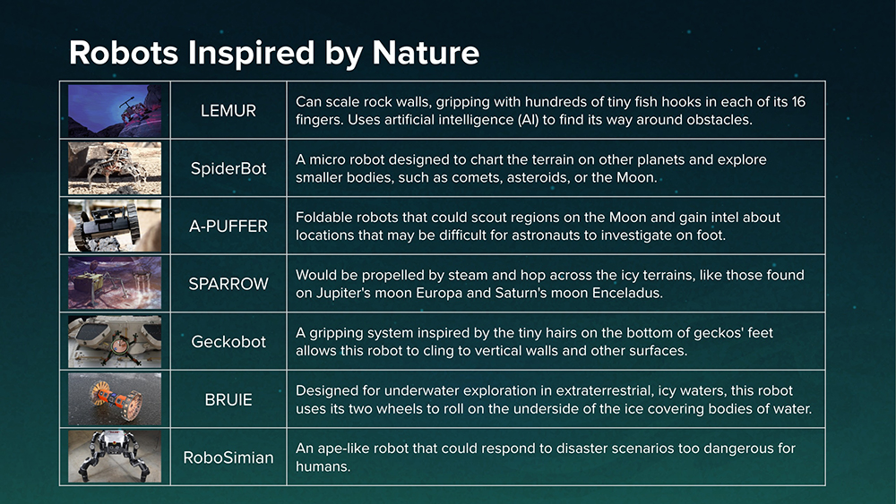 A screen shot of a Pear Deck interactive science lesson