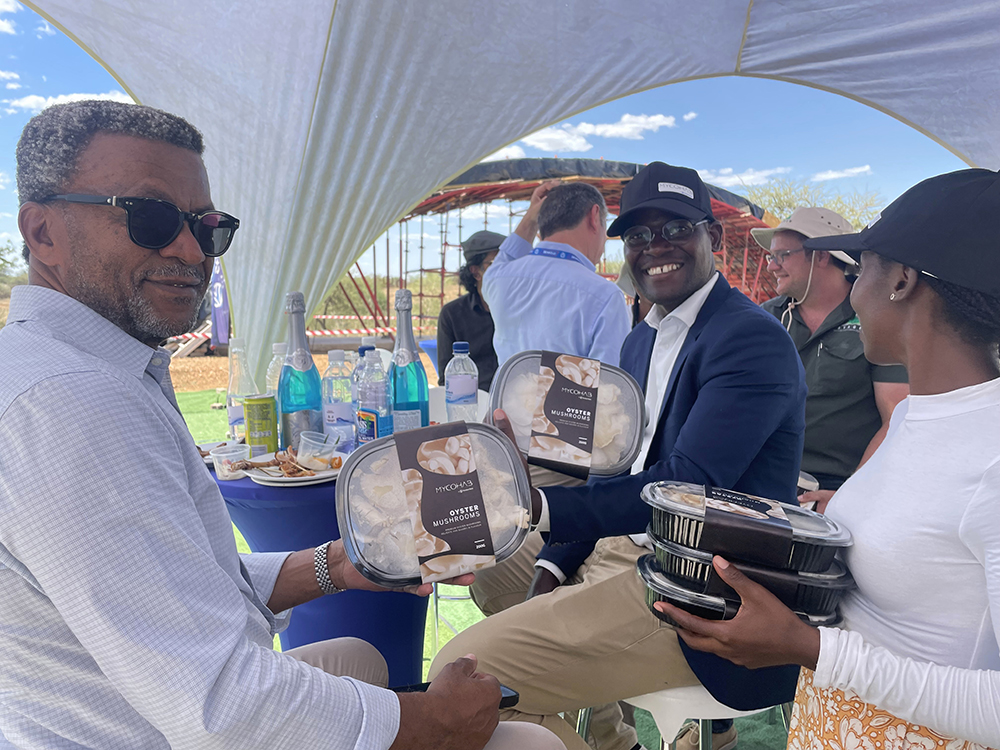 Personnel hold packages of gourmet mushrooms, available for sale in Africa