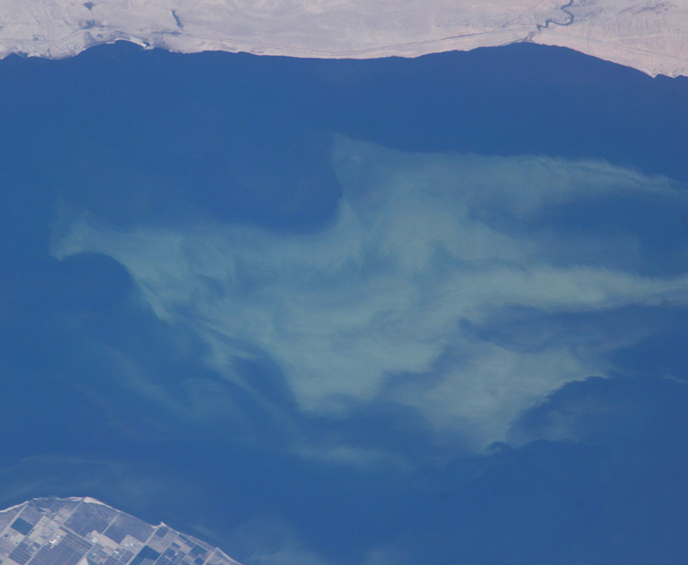 An image of California’s Salton Sea taken by astronauts aboard the space station shows an algal bloom