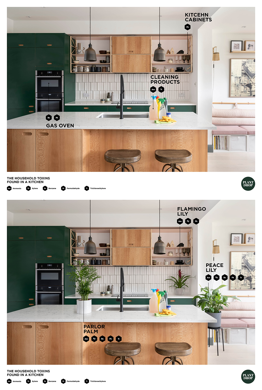 Graphics show kitchen pollutants and plants that can absorb them