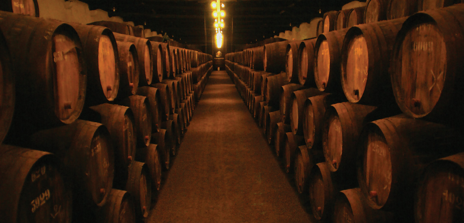 Barrels in a winery