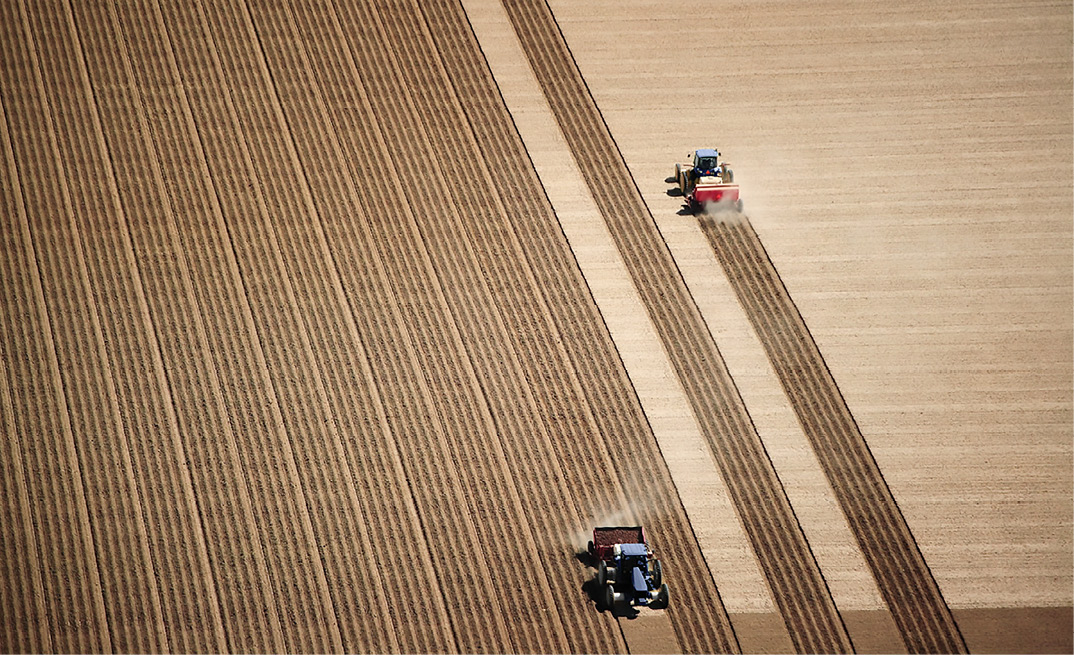 Two tractors work a field