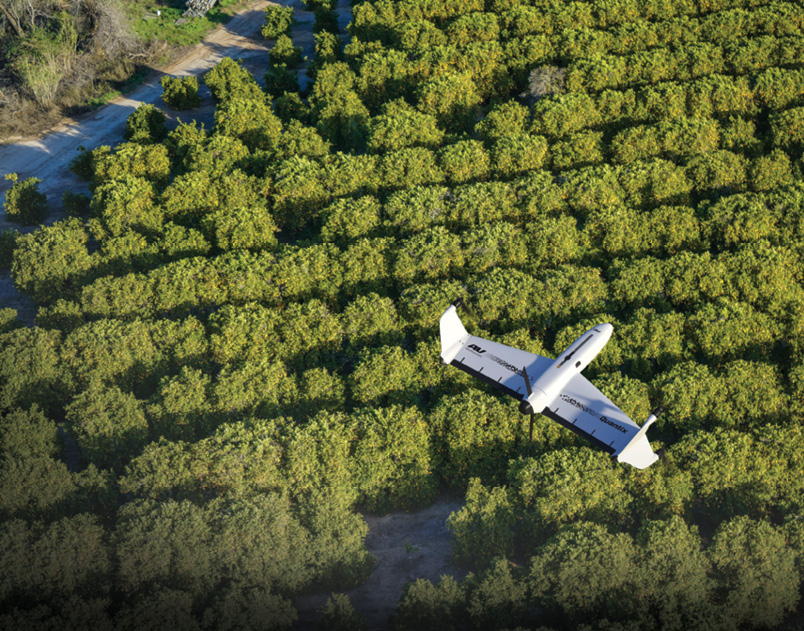 An overhead view of the Quantix drone flying above rows of leafy trees in an orchard