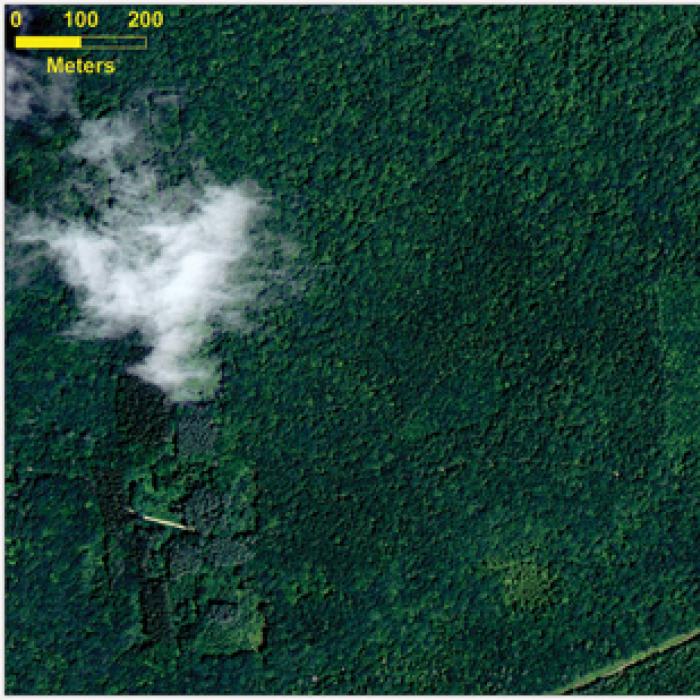 Lidar imaging revealing old structures underneath soil