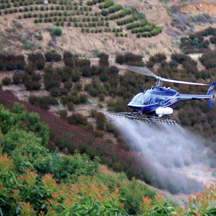 A helicopter sprays BAM-FX over a hillside field