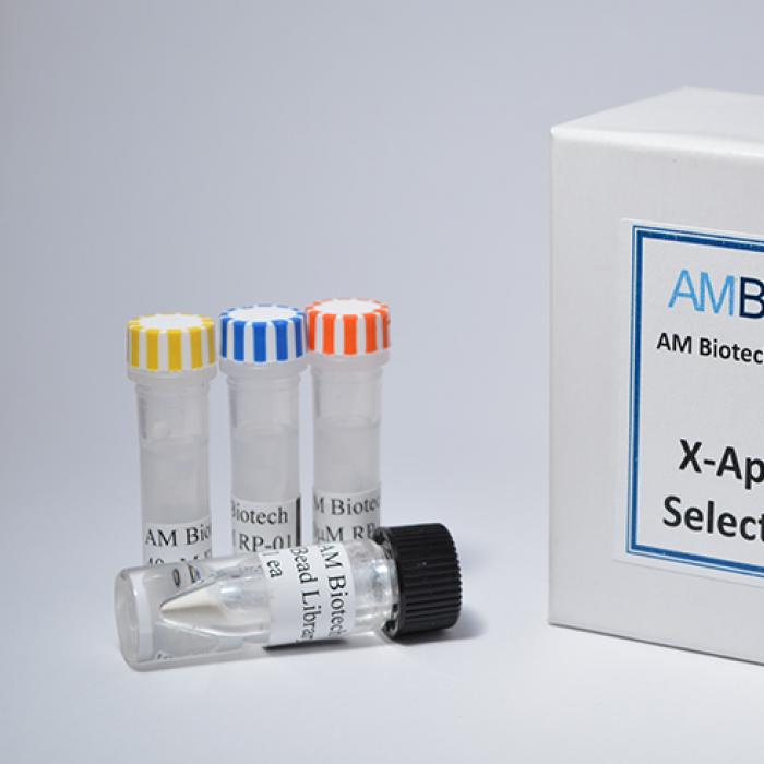 AM Biotechnologies’ X-Aptamer Selection Kit