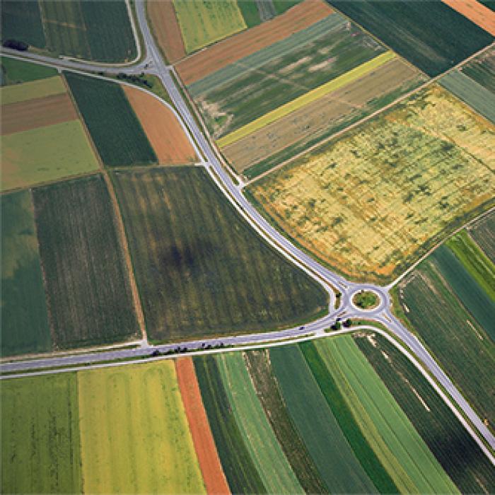 An aerial view of farmland