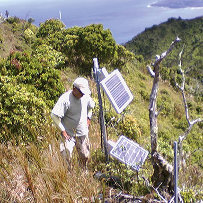 Intelesense sensor in field