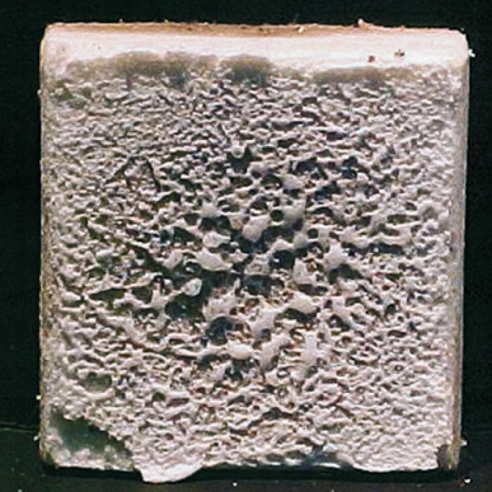 Two silicon-dioxide-based ceramic tiles after testing