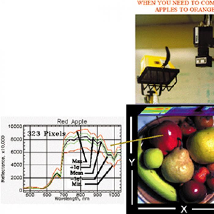 Hyperspectral imaging being used in food inspection application