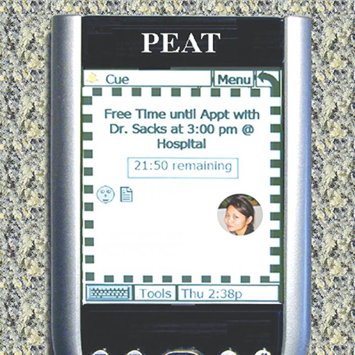 PEAT software in use on a PDA