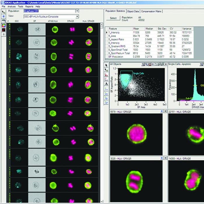 Screen shot of Amnis Corporation’s IDEAS data analysis software