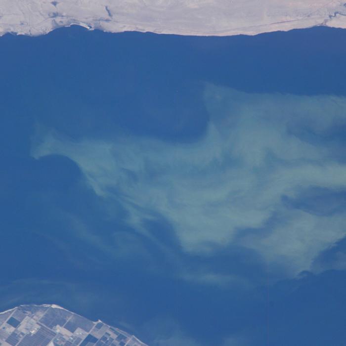 An image of California’s Salton Sea taken by astronauts aboard the space station shows an algal bloom