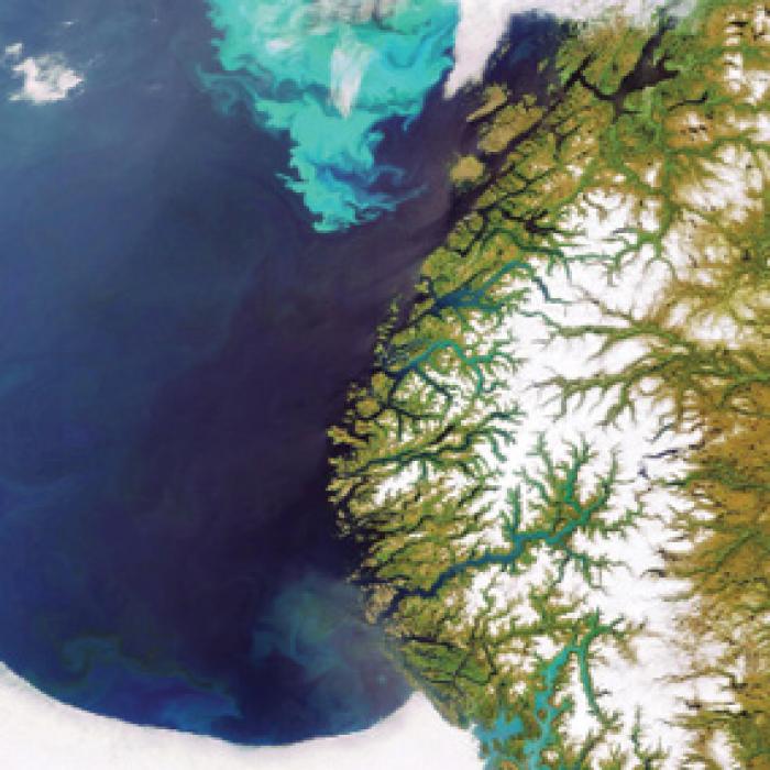 A satellite image of a coastline with a bright turquoise algal bloom in the water