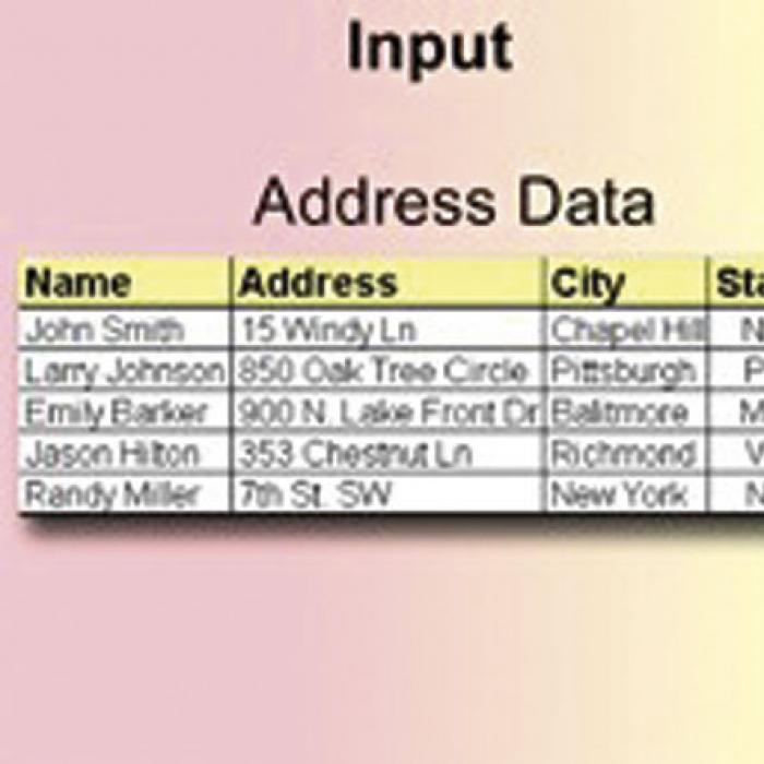 software generates reports and score lists