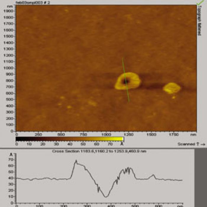 Atomic Force Microscope micrograph with line graph