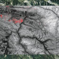 Thermal image of a forest fire