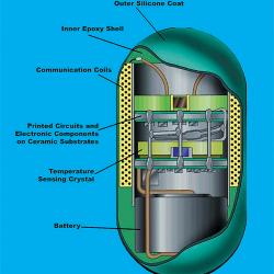 A look at the interior of the ingestible thermometer pill