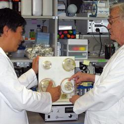 Two scientists examine a bioreactor