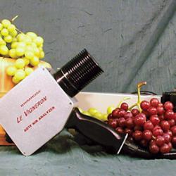 The Luminar 5030 Mini Spectrometer with grapes 