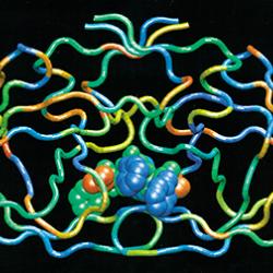 Depiction of realistic modeling of molecular interaction drug/proteins