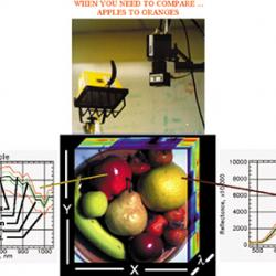 Hyperspectral imaging being used in food inspection application