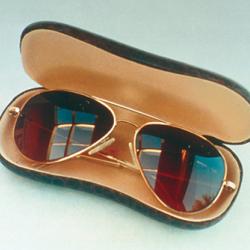 sunglasses that use Hawkeye lenses in a case