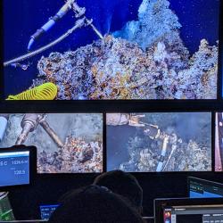 Operators with the National Oceanic and Atmospheric Administration (NOAA) watch from a control room as a remotely operated vehicle measures methane concentration and isotope ratios at an underwater volcano off the coast of Oregon in July of 2022