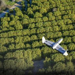 An overhead view of the Quantix drone flying above rows of leafy trees in an orchard