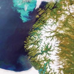 A satellite image of a coastline with a bright turquoise algal bloom in the water