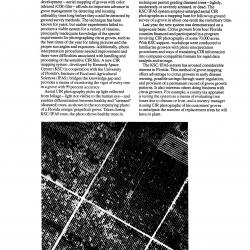 Citrus Grove Mapping