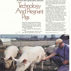 Technology and Pregnant Pigs